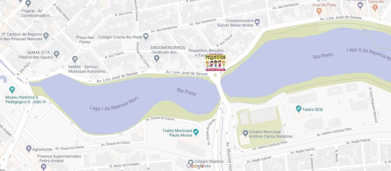 Google Map of Avenida Lino José de Seixas, 633, Jardim dos Seixas, São José do Rio Preto - SP